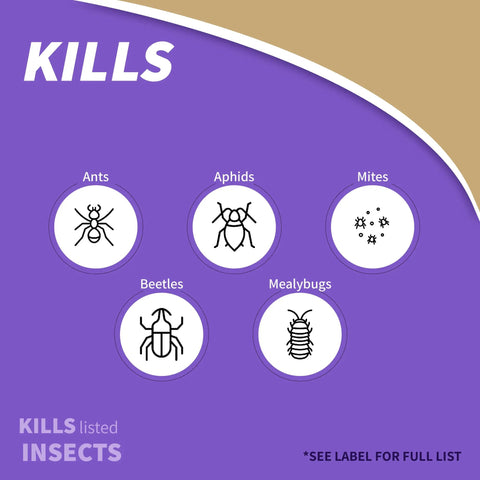 Diagram showing insects targeted by Citrus Fruit Nut Orchard Spray 32 Oz Concentrate Multi Purpose Fungicide Insecticide And Miticide For Home Garden Pest Control Fast Knockdown Against Beetles Mites Caterpillars Mealybugs And Powdery Mildew, including ants, aphids, mites, beetles, and mealybugs.