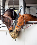 16 Pack Cross Tie Rings For Horses With Screws Wall Mount Stainless Steel Hitching Rings in use with two horses eating