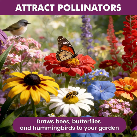 Massive Wildflower Seed Bulk Pack With 10,000 Seeds, 21 Varieties Perennial And Annual Heirloom Mix For Outdoor Or Indoor Gardens, Attracts Butterflies And Hummingbirds, Rainbow Bloom In Every Bed, High Germination Rate, Easy Planting