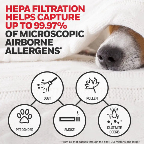 Graphic showing a dog next to HEPA filter benefits, highlighting allergen capture like dust, pollen, pet dander, and smoke.