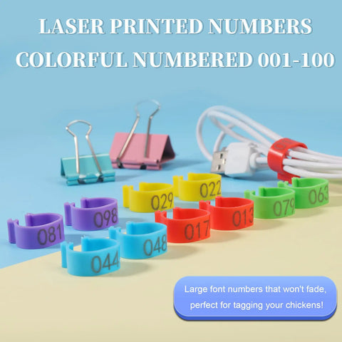 8mm Pigeon Leg Bands Set For Poultry With Laser Etched 001 To 100 In Five Colors Plastic Chicken Tags on colorful background