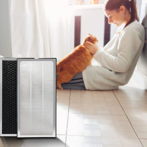 2 Pack Replacement Filter For 40 Series Air Purifiers With 3 In 1 Pre Filter And Activated Carbon Filter For Odor And Dust next to woman with cat