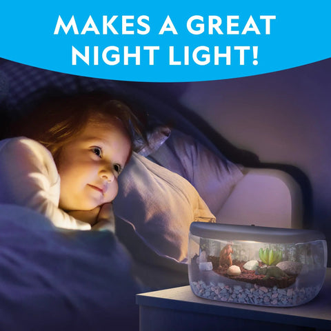 Child admiring Light Up Dino Terrarium Kit For Kids Lets Them Grow Real Plants And Gemstones To Build A Prehistoric Habitat