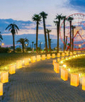 Lit Butterfly Luminary Bags And Flameless LED Tealights Set Of 50 Each White Outdoor Lanterns For Christmas pathway lighting
