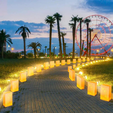 Lit Butterfly Luminary Bags And Flameless LED Tealights Set Of 50 Each White Outdoor Lanterns For Christmas pathway lighting