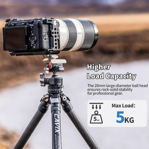 Arca QR Ball Head For Tripods And Sliders With One Quarter Inch And Three Eighths Inch Threads 360 Degree Pan supporting DSLR camera