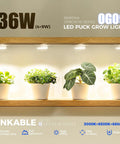 Indoor Plant Puck Grow Light With Timer 660nm Red LEDs 36W Four Pack Full Spectrum Plant Light For Indoor Plants