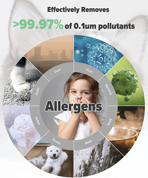 Chart showing TR-8080 Air Purifier Replacement Filter 4 in 1 Filtration System with images of dust, pollen, pet hair, and germs