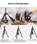 Macro shot with Go To 76 Inch Camera Tripod With Rotatable Center Column And 360 Degree Ball Head Heavy Duty 8kg Load setup