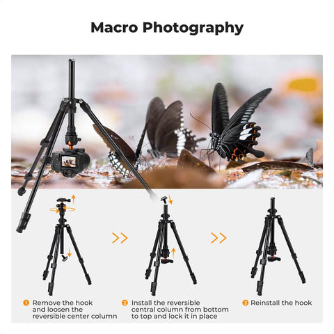 Macro shot with Go To 76 Inch Camera Tripod With Rotatable Center Column And 360 Degree Ball Head Heavy Duty 8kg Load setup