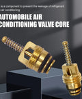 R12 Air Conditioning Valve Core Service Port Cap Kit For Car And Home AC Repair, Leak Fix Tools with cores on display