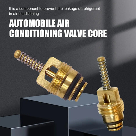 R12 Air Conditioning Valve Core Service Port Cap Kit For Car And Home AC Repair, Leak Fix Tools with cores on display