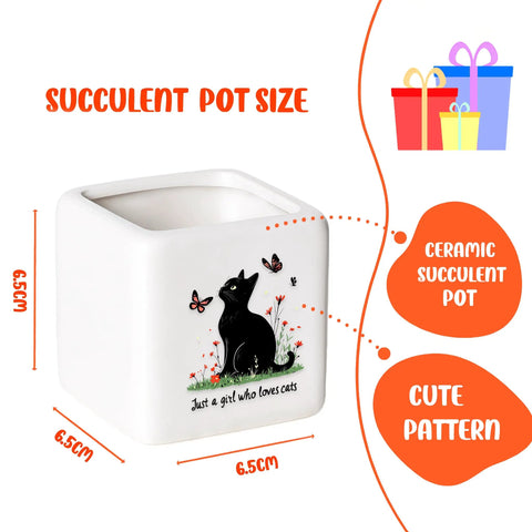 Black Cat Ceramic Succulent Planter With Drainage Hole For Small Plants Cute Kitty Face Pot For Home Office Desk Decor