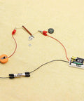 Homemade Electromagnet Do It Yourself Kit For Physics Experiments And Science Projects Learn To Turn Non Magnetic Objects