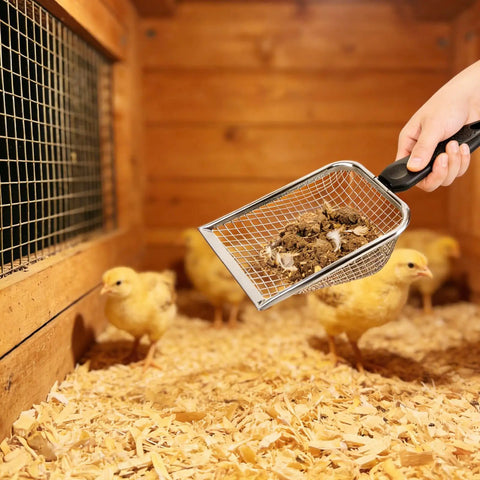 Hand using 2 Pack Chicken Poop Scoopers For Coop Cleanup, Dual Mesh Shovel Set With 3.8mm And 5mm Holes in coop with chicks