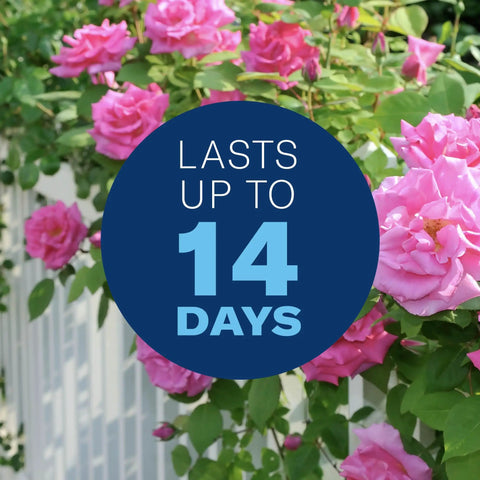 3 In 1 Insecticide And Fungicide For Plants Ready To Spray 32 Oz Boss Level Pest Defense Kills Aphids Whiteflies Japanese Beetles And Plant Mites While Fighting Plant Diseases label on blooming pink roses with claim lasting up to 14 days.