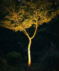 Low Voltage Landscape Spotlights Pro-Grade 50W Halogen Outdoor Garden Lights illuminating a tree at night