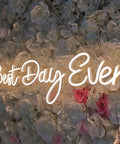Lit 26 Inch By 7.9 Inch LED Neon Sign Best Day Ever with Dimmer 12V Power Adapter Acrylic Backplate wall decor