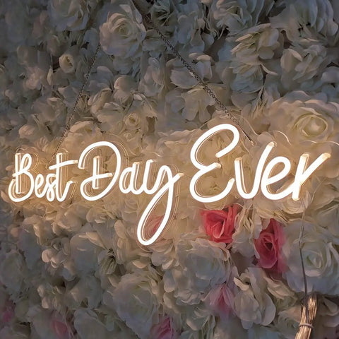 Lit 26 Inch By 7.9 Inch LED Neon Sign Best Day Ever with Dimmer 12V Power Adapter Acrylic Backplate wall decor
