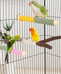 Top Shelf 3 Piece Natural Wood Bird Perch And Chew Toy Set For Cockatiels Budgies Parakeets with colorful hemp-covered rods and birds.