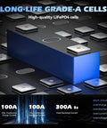 Compact 24V 100Ah LiFePO4 Battery With Built In 100A BMS And Low Temp Protection cells with charging details