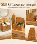Heavy Duty Plastic Wicker Storage Basket With Lids Waterproof Woven Organizer Bins For Home, various settings and uses shown.