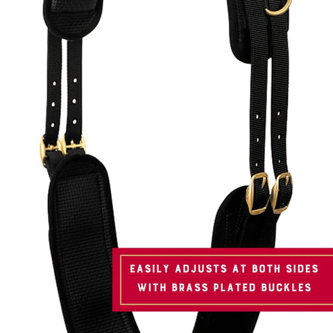 Shock Absorbing Neoprene Surcingle For Horse Training with adjustable fit brass plated buckles and dee rings detail view.
