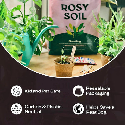 Peat Free Seed Starter Soil Mix For Seeds, Cuttings, And Microgreens With Worm Castings And Root Boosting Biochar, Improves Drainage And Air, Less Gnats, Perfect For Germination And Propagation, 4 Qt