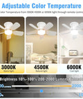 20 Inch Ceiling Fan With Light Socket Remote Plug And Play 30W 2000 Lumens Three Color Temperatures 3000K To 6000K Six Speed Wind