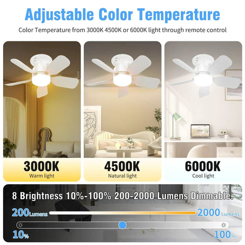 20 Inch Ceiling Fan With Light Socket Remote Plug And Play 30W 2000 Lumens Three Color Temperatures 3000K To 6000K Six Speed Wind