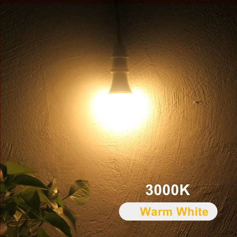 Dusk To Dawn Outdoor A19 LED Bulbs With Auto On Off Photocell Sensor No App Needed 60W Equivalent Warm White 9.5W 3000K lit exterior