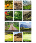 Image grid showing diverse terrains like orchard, woodland, and mountain country for testing Tracked Lawn Mower Workhorse For Hills And Rough Terrain With Wireless Remote Control Heavy Duty Outdoor Cutting Machine For Farm Yard And Large Area Maintenance Easy Maneuvering On Slopes And Uneven Ground.