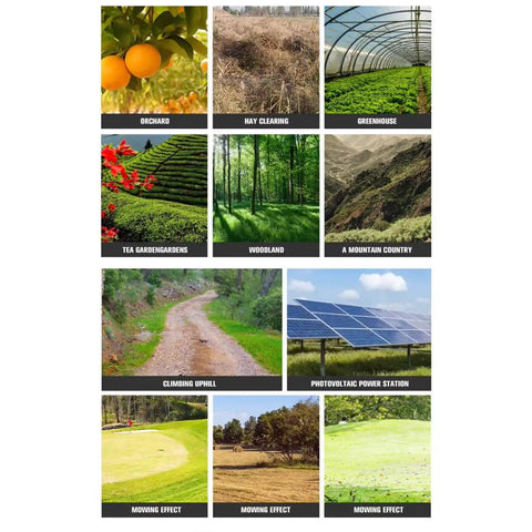 Image grid showing diverse terrains like orchard, woodland, and mountain country for testing Tracked Lawn Mower Workhorse For Hills And Rough Terrain With Wireless Remote Control Heavy Duty Outdoor Cutting Machine For Farm Yard And Large Area Maintenance Easy Maneuvering On Slopes And Uneven Ground.