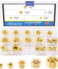 Brass Pipe Plug Fitting Set, 30 Pieces, NPT Male Plugs In One Eighth Inch, One Quarter Inch, Three Eighths Inch, One Half Inch, Three Quarters Inch, Internal Hex Thread, Socket Plugs, Assortment Kit In Durable Plastic Case