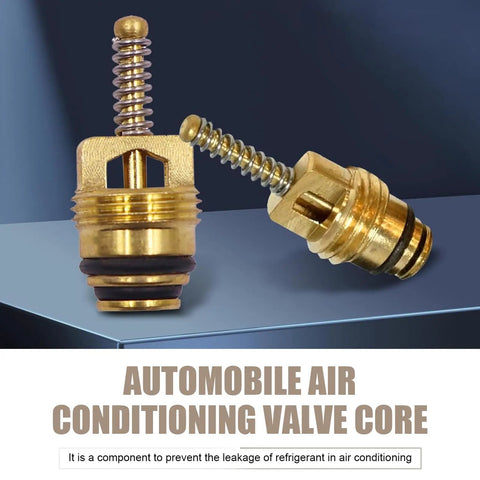 Close-up of brass air conditioning valve cores from Seven Piece Car AC Valve Core Kit With Caps And Anti Leak Cores For Most Cars