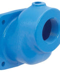 Cast Iron Flanged Check Valve 2.5 Inch, Buna Gasket, Four Screws Included, Heavy-Duty Water Pump And Irrigation Valve For 2.5 Inlets, Durable Cast Iron, 85 PSI Max, Easy Install, Suitable For Residential Or Commercial Water Systems, blue flange view