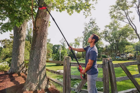 User demonstrating Solid Build Cordless Pole Saw With Eight Inch Bar And Ten Foot Reach To Clear High Limbs Like A Pro for tree trimming.