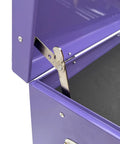 Portable Metal Tool Chest With 9 Drawers 24 Inch Cabinet Ball Bearing Drawer Slides Locking Central Cam Full Length Hinge Steel Tool Storage Box Organizer Purple, close-up of hinge and interior