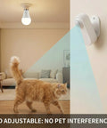 Detached Motion Sensor Light Bulb Kit With Split Design 60W Equivalent A19 LED 6000K Daylight White wall-mounted sensor lighting a cat in a living room