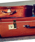 Four Pack Toggle Clamp Latch Kit With Medium Spring Loaded Lock Clips installed on a vintage suitcase
