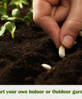 Person planting seed in soil from 10 Herb Garden Kit Non GMO Heirloom Seeds For Indoor And Outdoor Windowsill Grow Kit With Thyme Lavender Chamomile Dill Chives Cilantro Rosemary Basil Parsley Sage Gift Idea