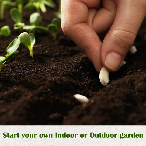 Person planting seed in soil from 10 Herb Garden Kit Non GMO Heirloom Seeds For Indoor And Outdoor Windowsill Grow Kit With Thyme Lavender Chamomile Dill Chives Cilantro Rosemary Basil Parsley Sage Gift Idea