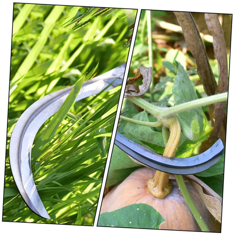 Lightweight Garden Mower And Reaping Tool Set Of Two With Comfortable Grip For Weeding And Harvesting in use on grass and squash stem