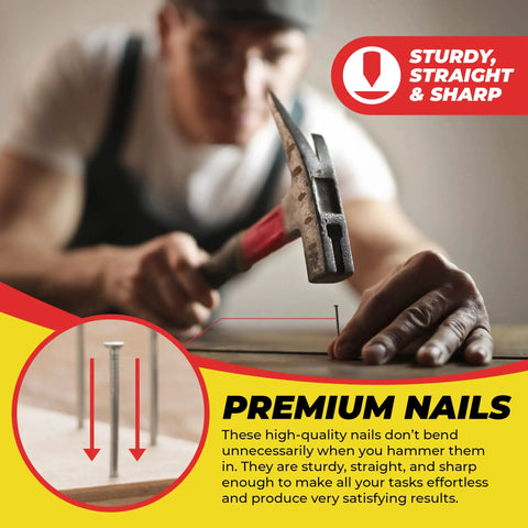 Ultimate Nail Assortment Kit With Over 1800 Multipurpose Nails In 11 Sizes Non Bendable And Sturdy Compact Organizer Box.