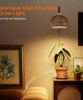 Go-To Rattan Hanging Grow Light For Indoor Plant Parents, 3800K Warm White Botanical Dome over potted plants in cozy room.