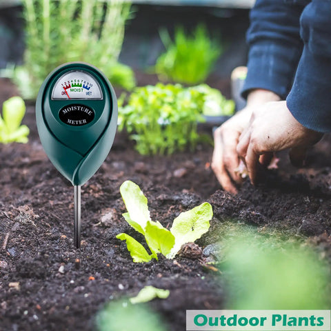 No Battery Plant Moisture Meter For Indoor And Outdoor Use Easy Soil Water Gauge shown in garden soil near plants.