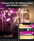 Outdoor Smart LED Spotlight For Color Ambiance, Low Voltage Landscape Lighting, 1 Pack, app-controlled display with pink lighting