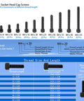 Heavy Duty M4 Hex Socket Head Cap Screw Assortment Kit, 720 Piece Set With Flat Washers, Alloy Steel 12.9 Grade Black Oxide Finish, showing 240 pcs of various lengths.