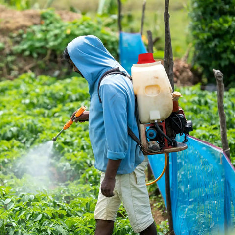 Person using backpack sprayer in garden with 5.7 inch fine mesh filter, enhancing crop coverage and keeping spray uniform.