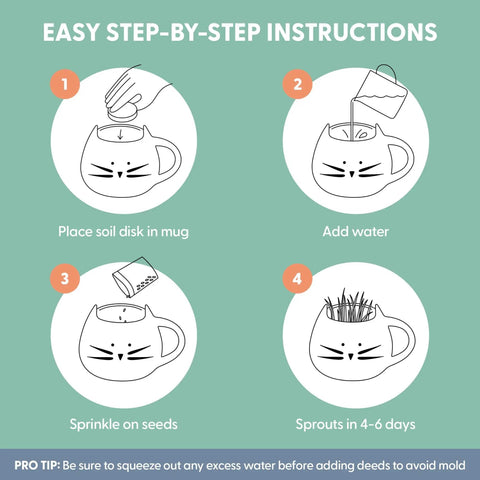 Easy step-by-step instructions for Organic Cat Grass Kit For Indoor Cats With Seed Mix Soil And White Planter Hairball Control